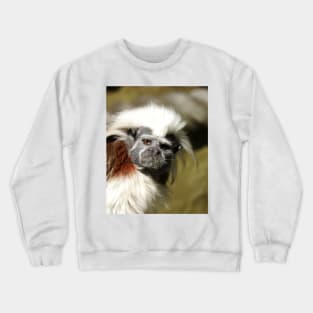 Cotton-top Tamarin Crewneck Sweatshirt